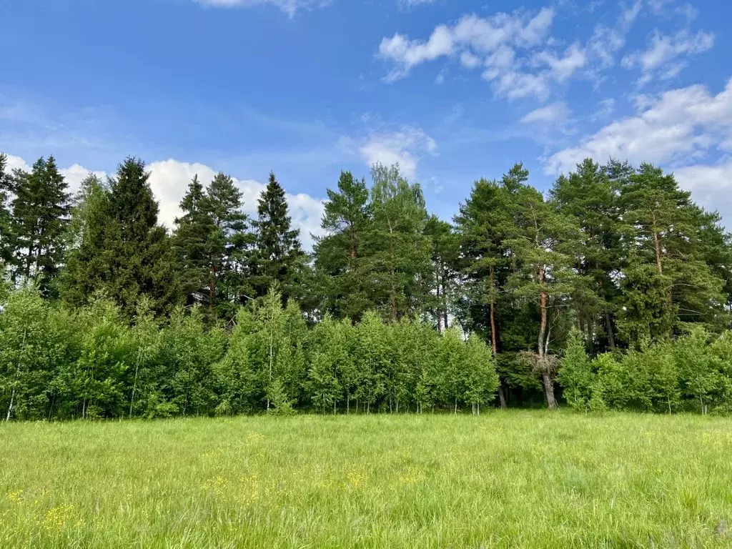 Участок в Московская область, Пушкино Чистые Пруды-2 кп, ул. Вишневая ... - Фото 2