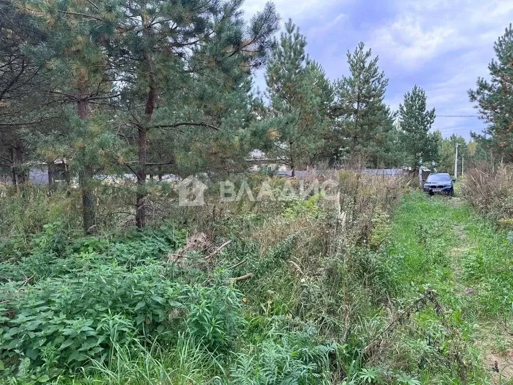 Участок в Владимирская область, Суздальский район, Боголюбовское ... - Фото 0