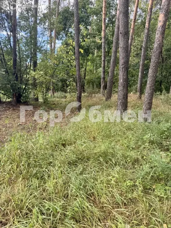 Участок в Раменское, улица Грибоедова, 10 (7.52 м) - Фото 1