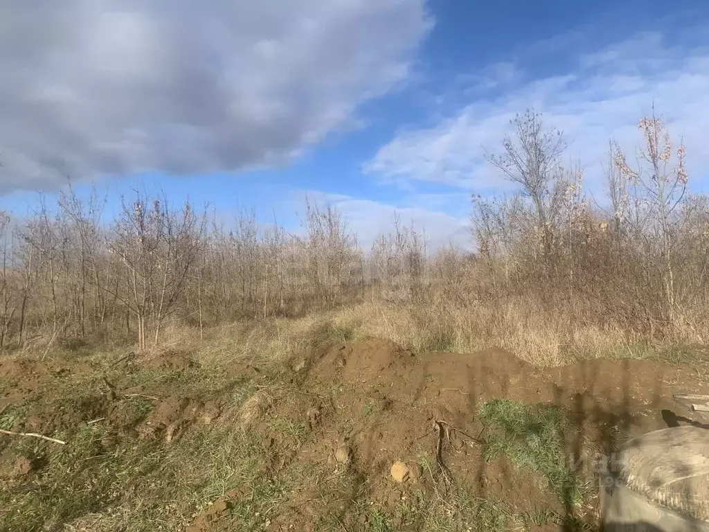 Участок в Краснодарский край, Темрюк Стимул СНТ,  (8.0 сот.) - Фото 2