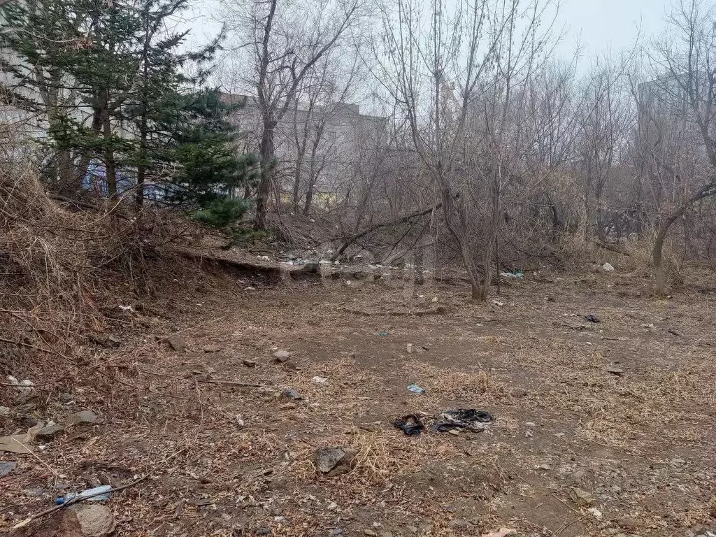 Участок в Приморский край, Владивосток Школьный пер., 1А (3.73 сот.) - Фото 0