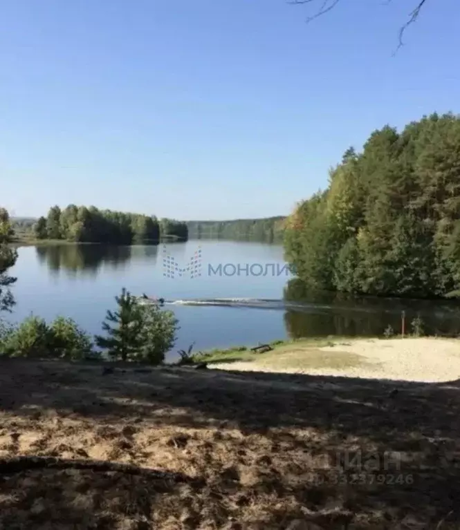 Участок в Нижегородская область, Воротынский муниципальный округ, с. ... - Фото 2