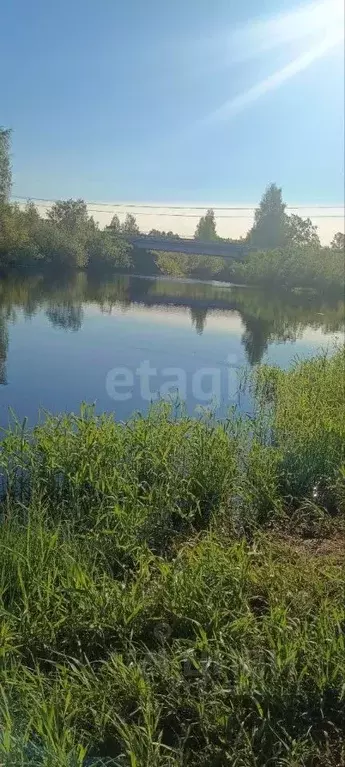 Участок в Новгородская область, Чудовский муниципальный район, ... - Фото 1