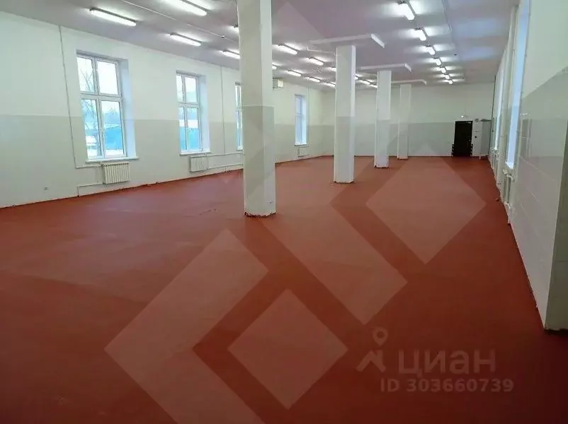 Производственное помещение в Москва Мироновская ул., 33С1 (470 м) - Фото 0