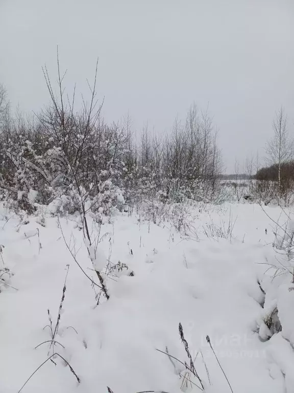 Участок в Московская область, Электросталь городской округ, д. Есино  ... - Фото 2