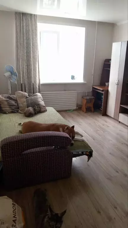 Комната Новосибирская область, Бердск Боровая ул., 94 - Фото 2