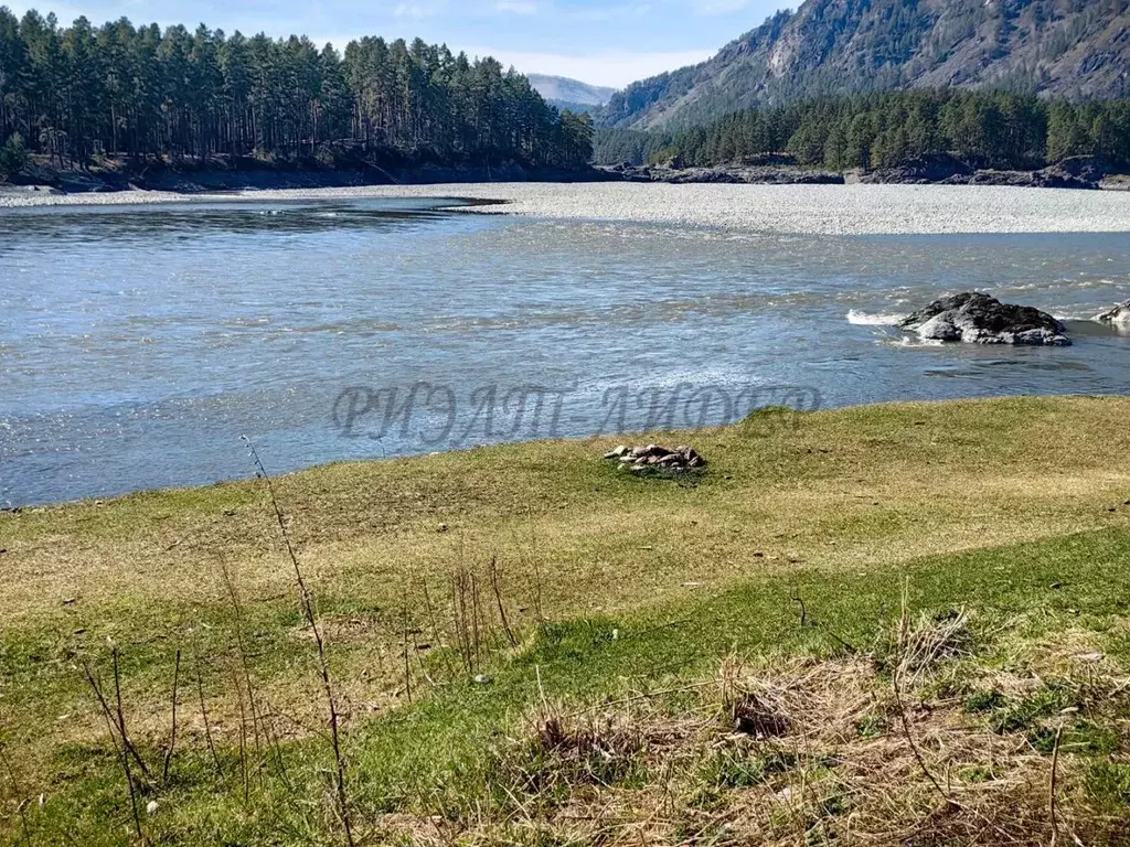 Дом в Алтай, Майминский район, с. Манжерок  (23 м) - Фото 1