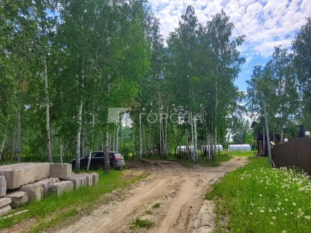 Участок в Новосибирская область, Новосибирский район, Мочищенский ... - Фото 2