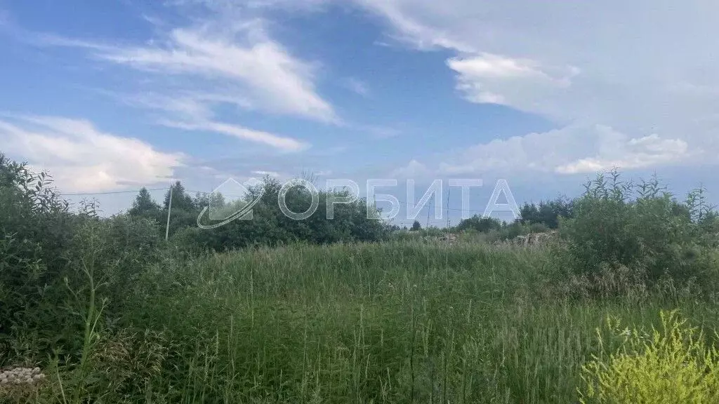 Участок в Тюменская область, Тюмень Поле Чудес садовое товарищество, ... - Фото 1