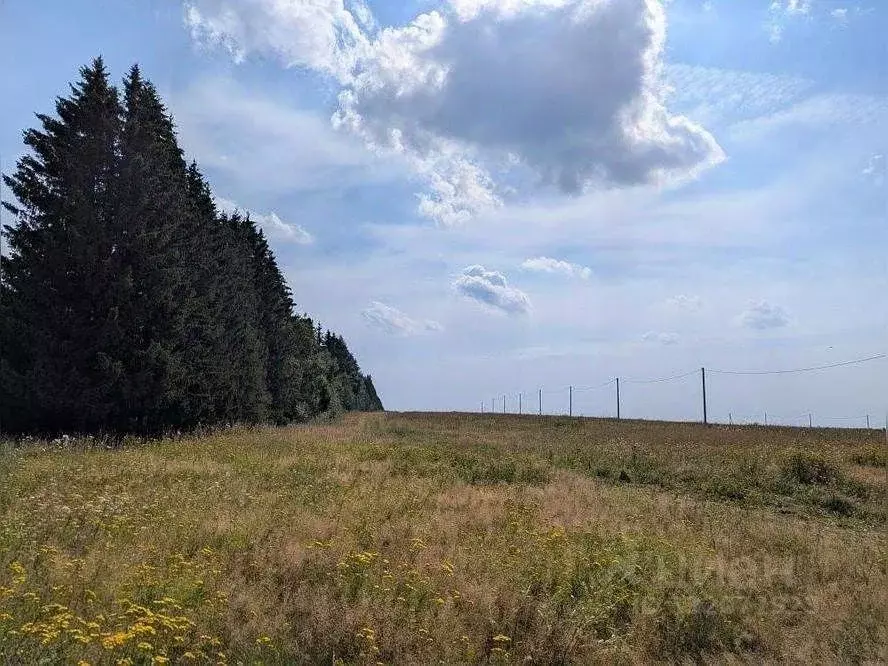 Участок в Удмуртия, Красногорский район, д. Агриколь Родниковая ул., ... - Фото 2