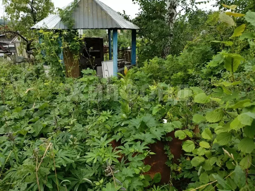 Дом в Новосибирск, садовое товарищество Сибиряк (10 м) - Фото 2