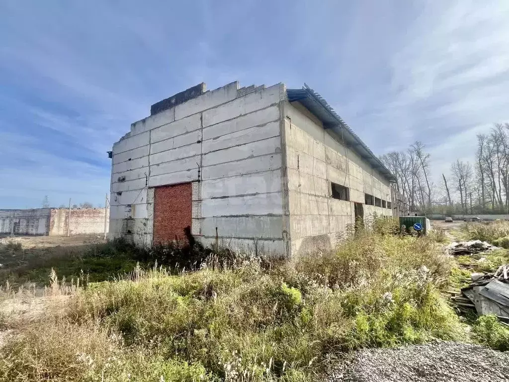 Помещение свободного назначения в Мордовия, Саранск городской округ, ... - Фото 1