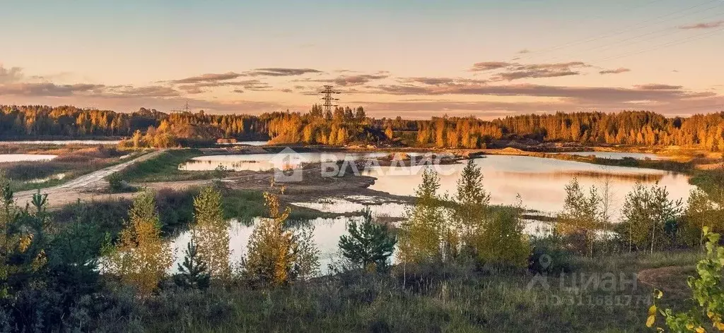 Участок в Ярославская область, Рыбинский район, Назаровское с/пос, д. ... - Фото 0