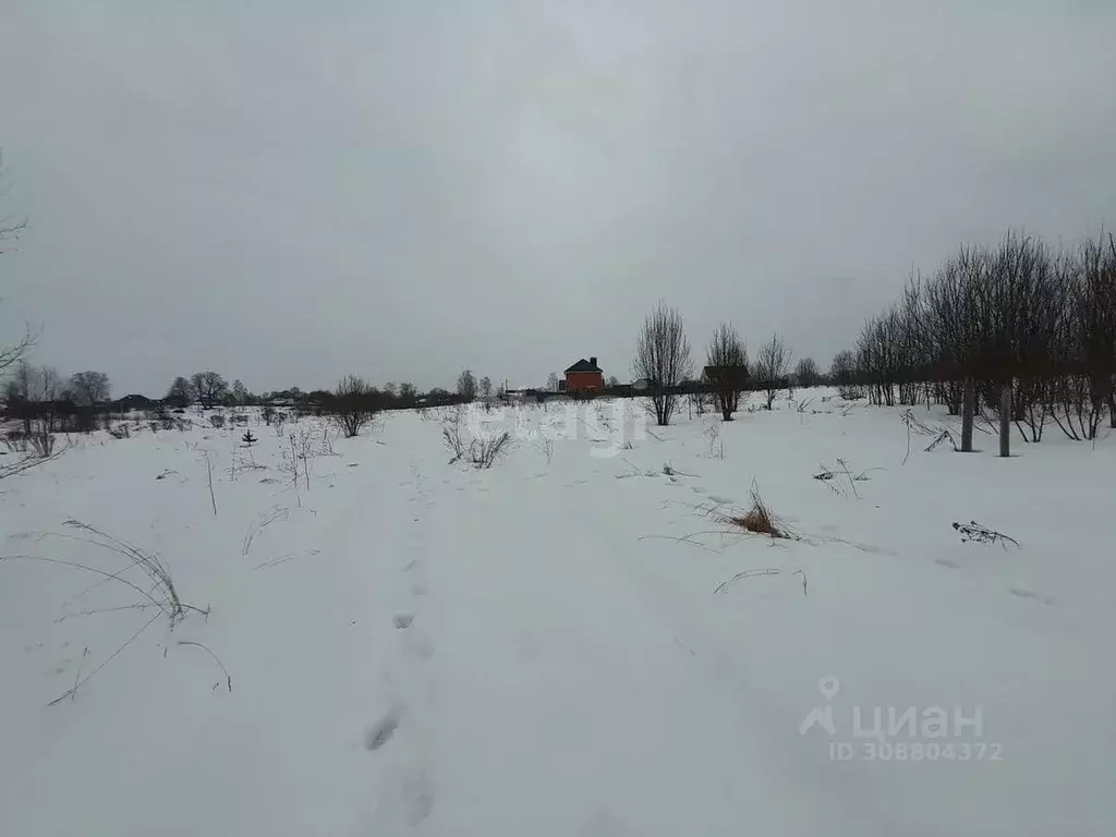 Участок в Брянская область, Дятьковский район, с. Слободище ... - Фото 1