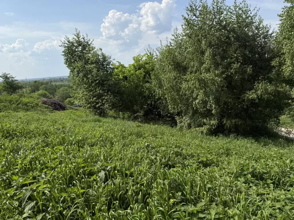 Участок в Московская область, Кашира городской округ, д. Хворостянка ... - Фото 1