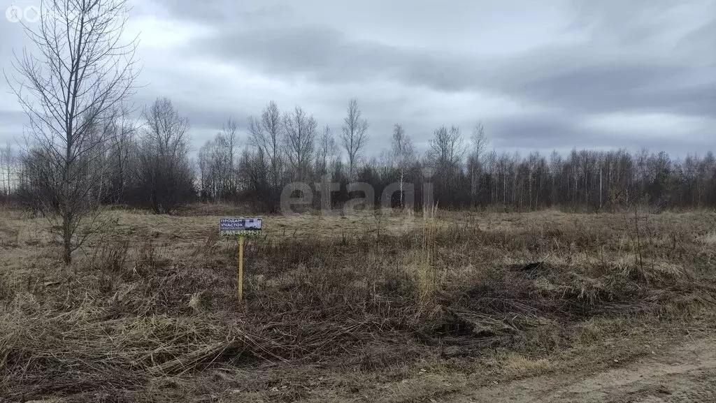 Участок в Тюменская область, Ярковский муниципальный округ, посёлок ... - Фото 2