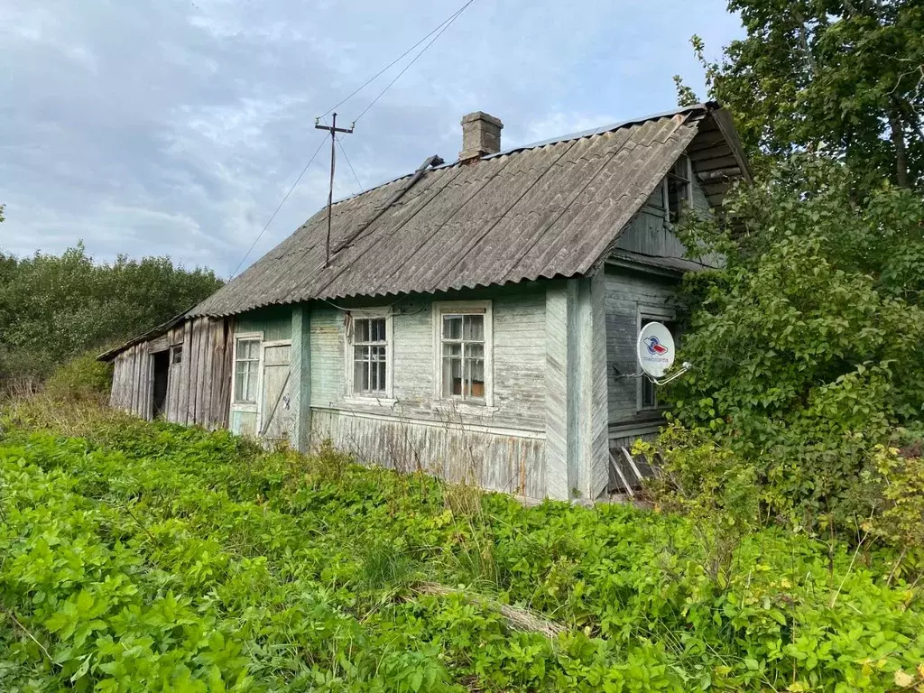 Гашково Гдовский район. Деревня Гашково Гдовский район. Д Гашково Гдовского района. Деревня Полично Гдовский район.