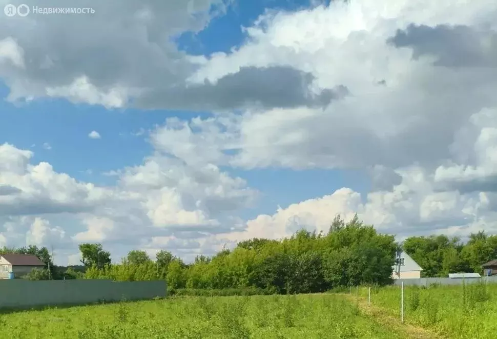 Участок в Рязанская область, Рыбновский муниципальный округ, село ... - Фото 2
