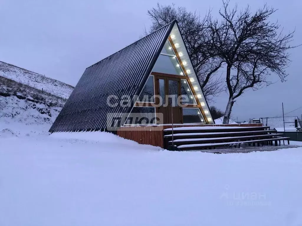Дом в Воронежская область, с. Семилуки ул. Донская (85 м) - Фото 1