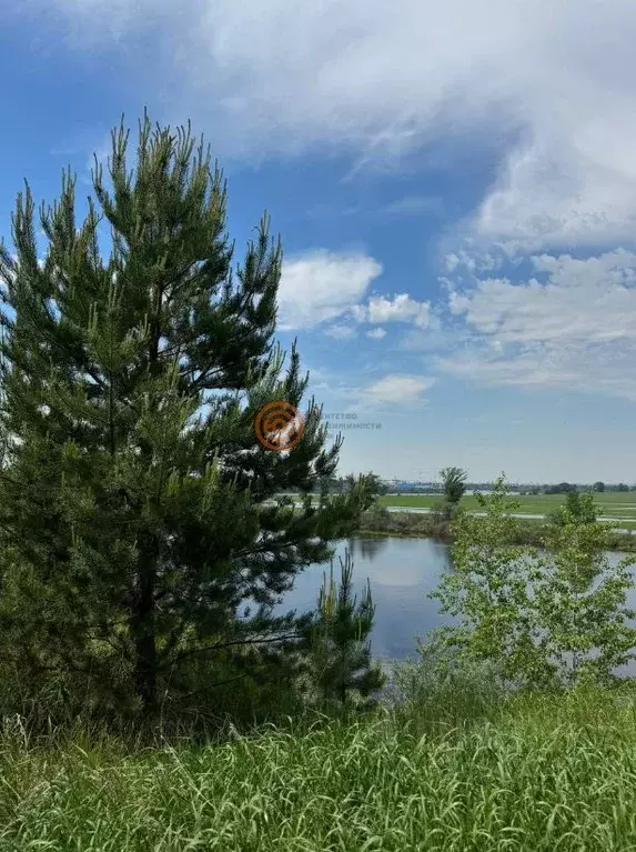 Участок в Тюменская область, Тюменский муниципальный округ, д. ... - Фото 1