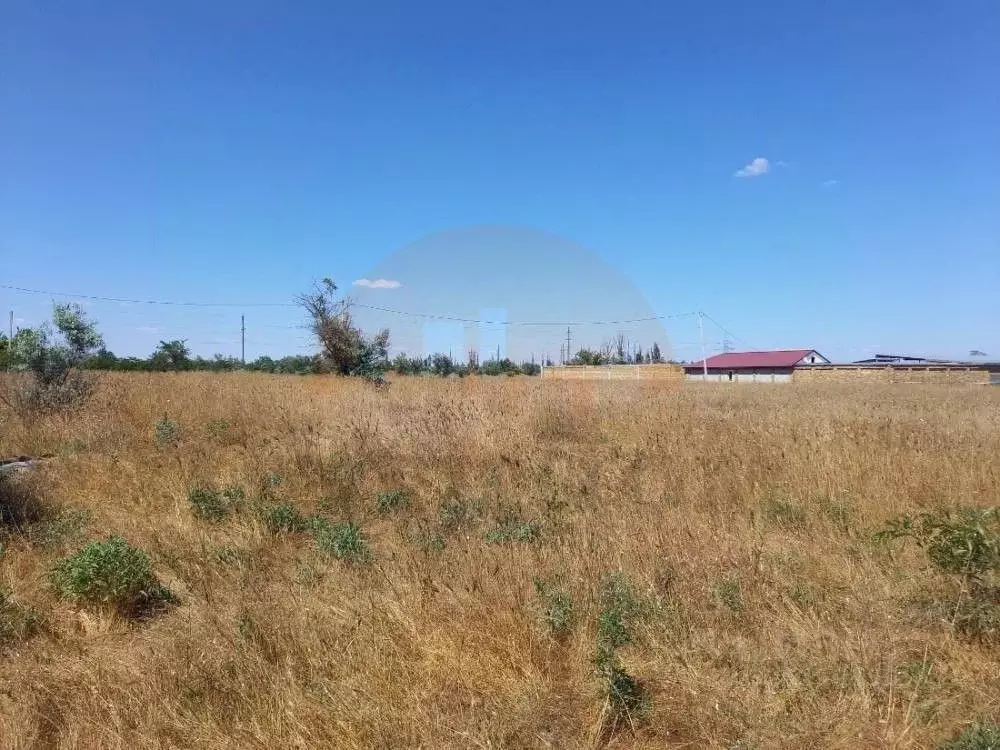 Участок в Крым, Сакский район, с. Орехово ул. Восточная (41.0 сот.) - Фото 1