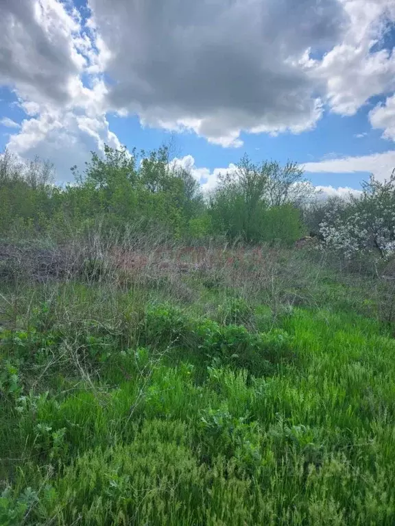 Участок в Ростовская область, Новочеркасск ул. Ольховая, 94 (6.0 сот.) - Фото 1