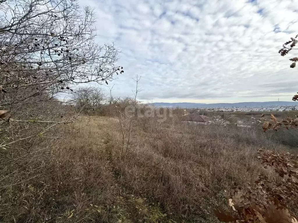 Участок в Краснодарский край, Новороссийск городской округ, Раевская ... - Фото 1