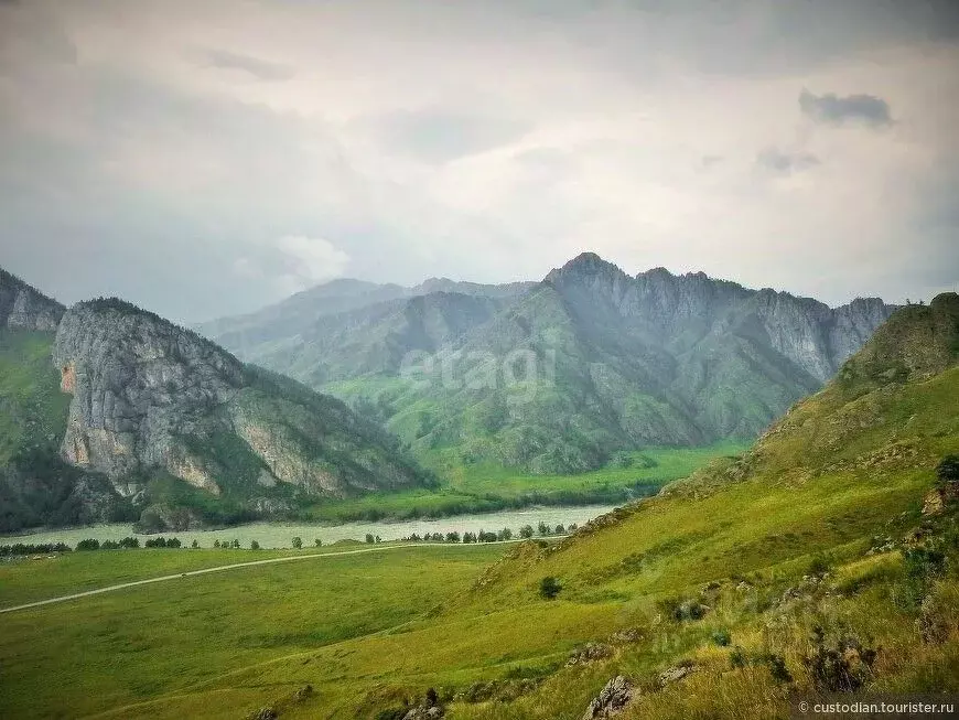 Участок в Алтай, Чемальский район, с. Еланда Новая ул. (995.2 сот.) - Фото 0