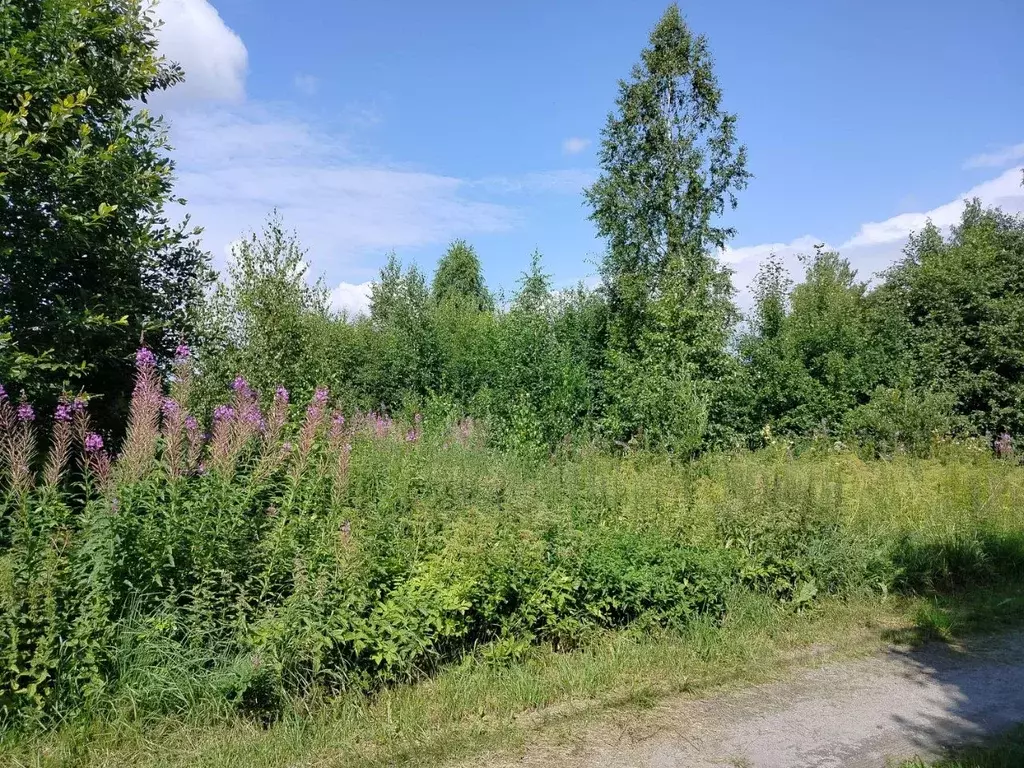 участок в ленинградская область, приозерский район, кузнечнинское . - Фото 1