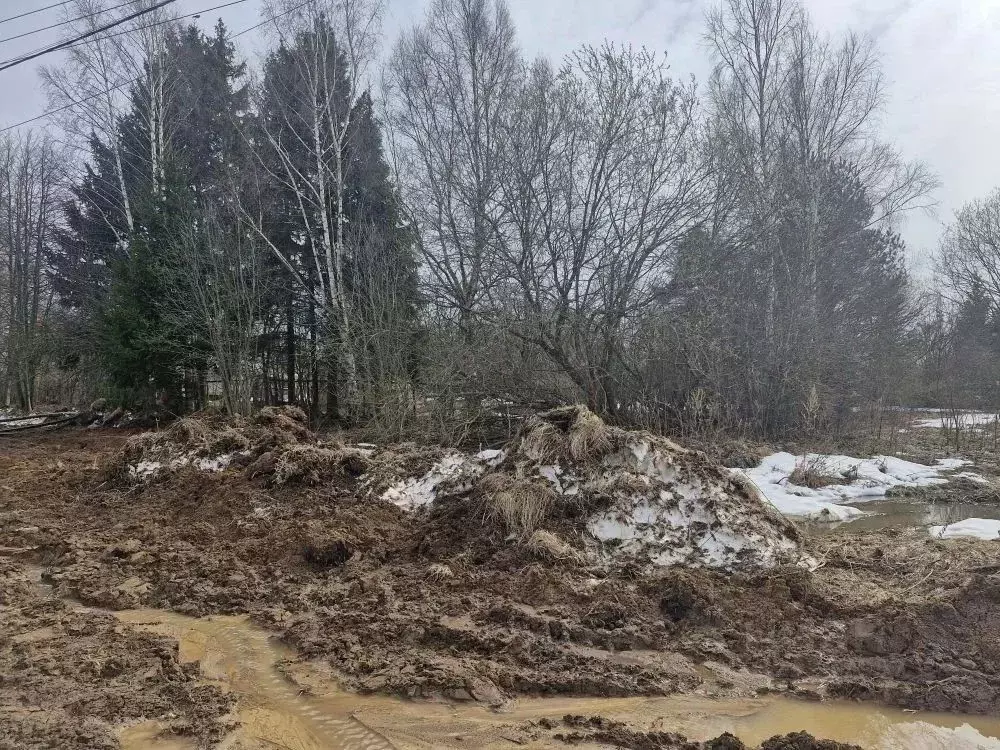 Участок в Московская область, Ступино городской округ, с. Липитино  ... - Фото 1