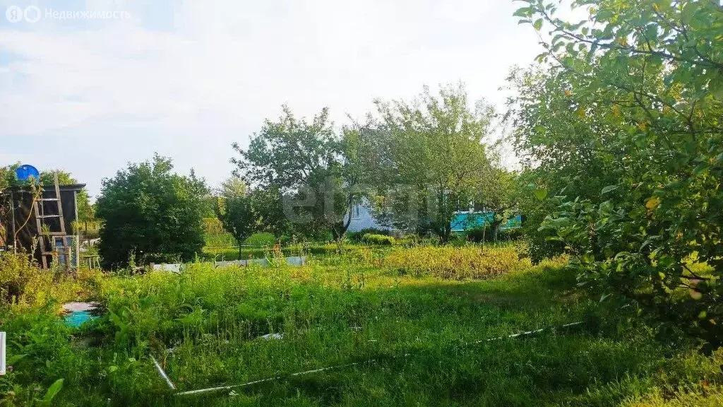 Участок в Дзержинское сельское поселение, СНТ Видео-1 (6 м) - Фото 0