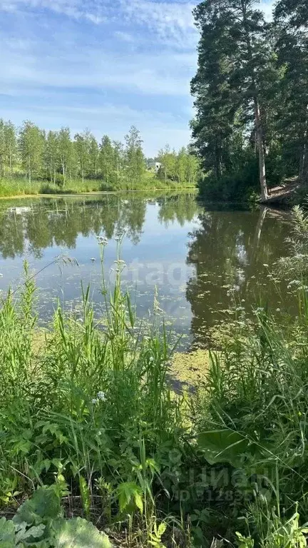 Участок в Новосибирская область, Новосибирский район, Барышевский ... - Фото 1