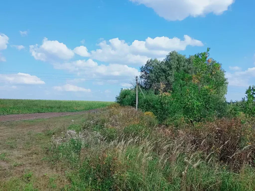 Участок в Орловская область, Орловский район, пос. Белоберезовский  ... - Фото 2