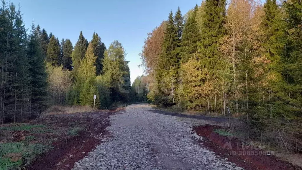 Участок в Кировская область, Слободской район, Вахрушевское городское ... - Фото 0