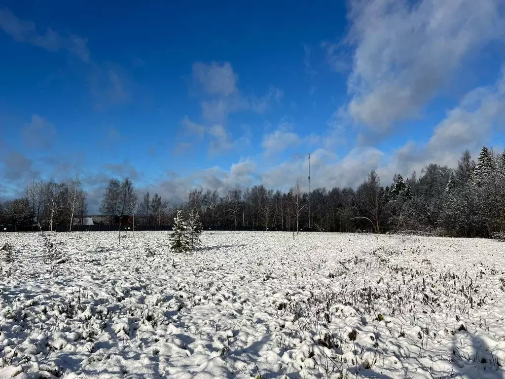 Участок в Московская область, Солнечногорск городской округ, д. ... - Фото 1