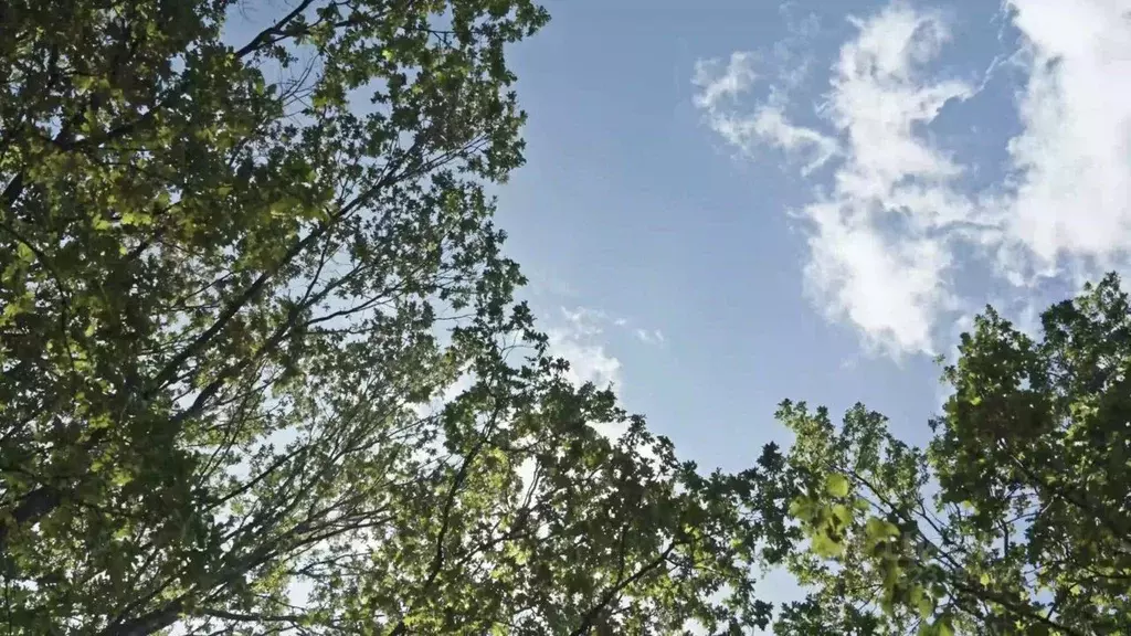 Помещение свободного назначения в Москва Монтажная ул., вл8/24 (5 м) - Фото 0