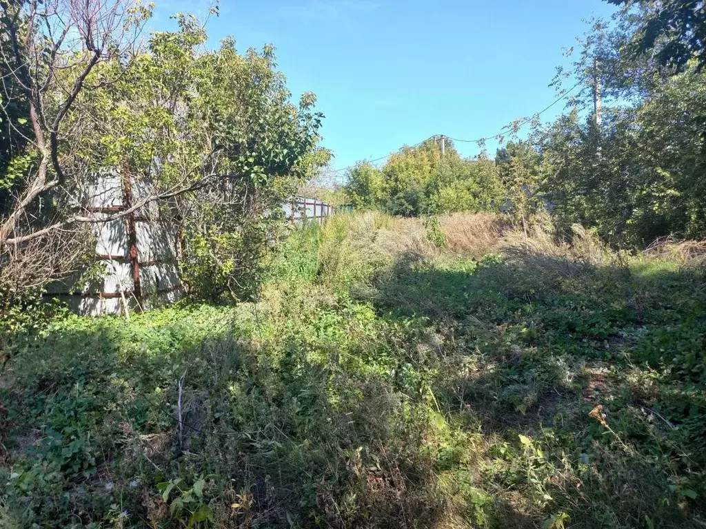 Участок в Саратовская область, Воскресенский район, Елшанское ... - Фото 2