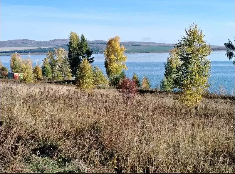 Участок в Красноярский край, Шарыповский муниципальный округ, д. ... - Фото 1