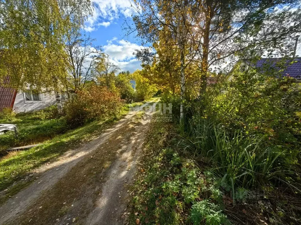 Дом в Карелия, Пряжинское городское поселение, Устье СНТ 60 (60 м) - Фото 1