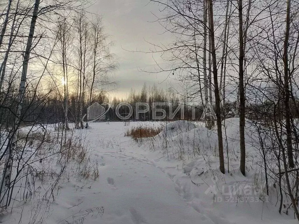 Участок в Тюменская область, Нижнетавдинский муниципальный округ, ... - Фото 1