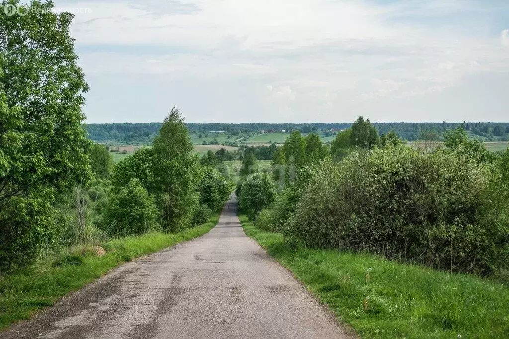 Участок в Новгородская область, Любытинское сельское поселение, ... - Фото 0