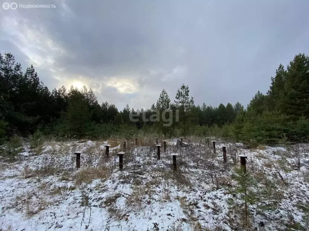 Участок в Сарапульский район, деревня Непряха (24 м) - Фото 1