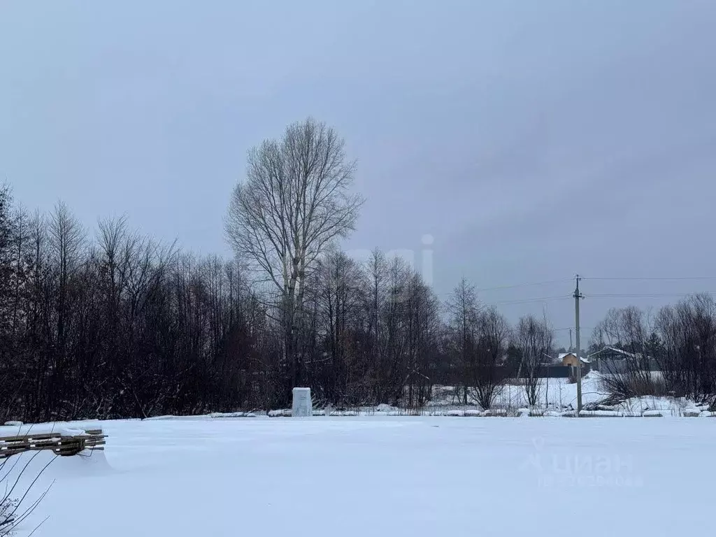 Участок в Марий Эл, Звениговский район, Кокшайское с/пос, с. Кокшайск  ... - Фото 1