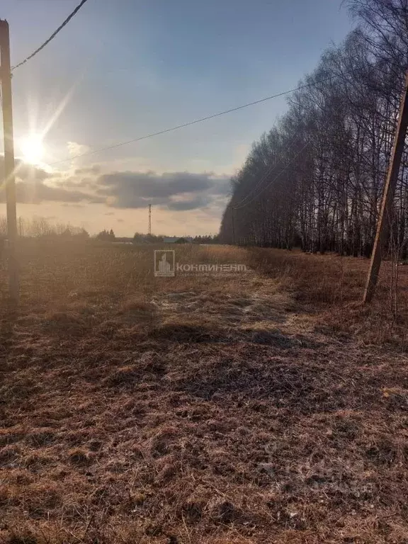 Участок в Владимирская область, Суздальский район, с. Новоалександрово ... - Фото 1