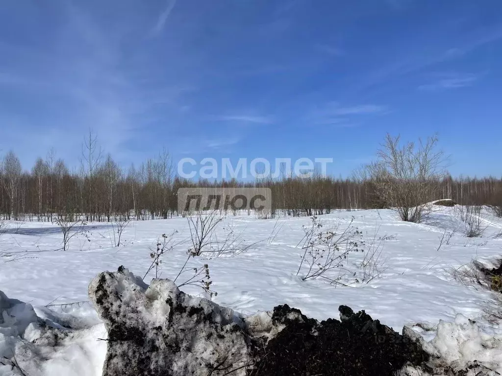 Участок в Марий Эл, Медведевский район, Пекшиксолинское с/пос, пос. ... - Фото 1