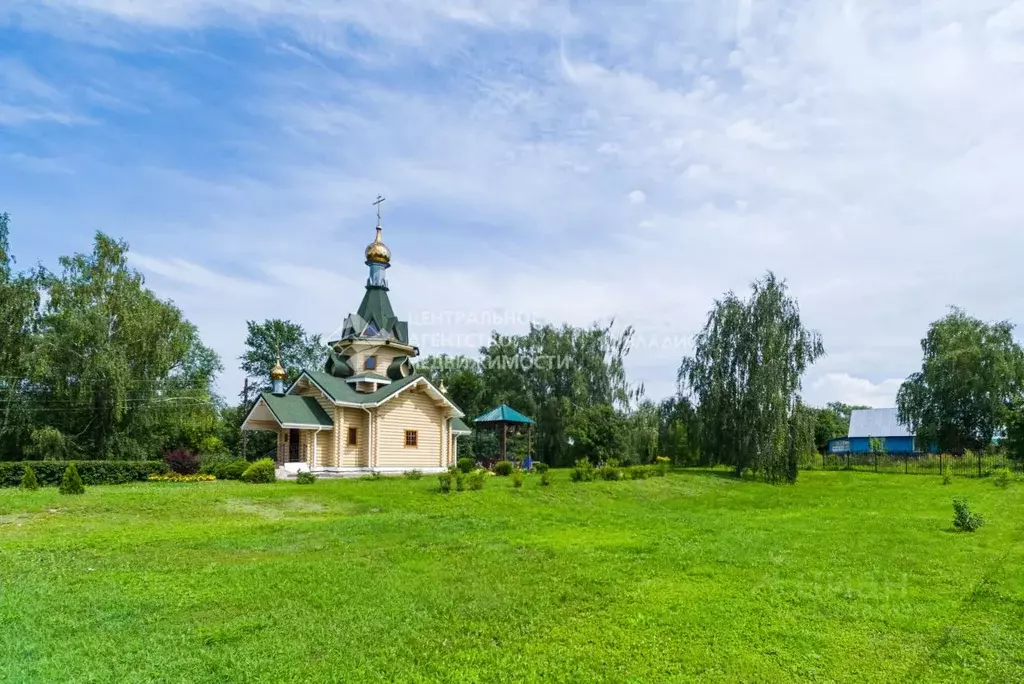 Участок в Рязанская область, Рыбновский муниципальный округ, д. ... - Фото 1