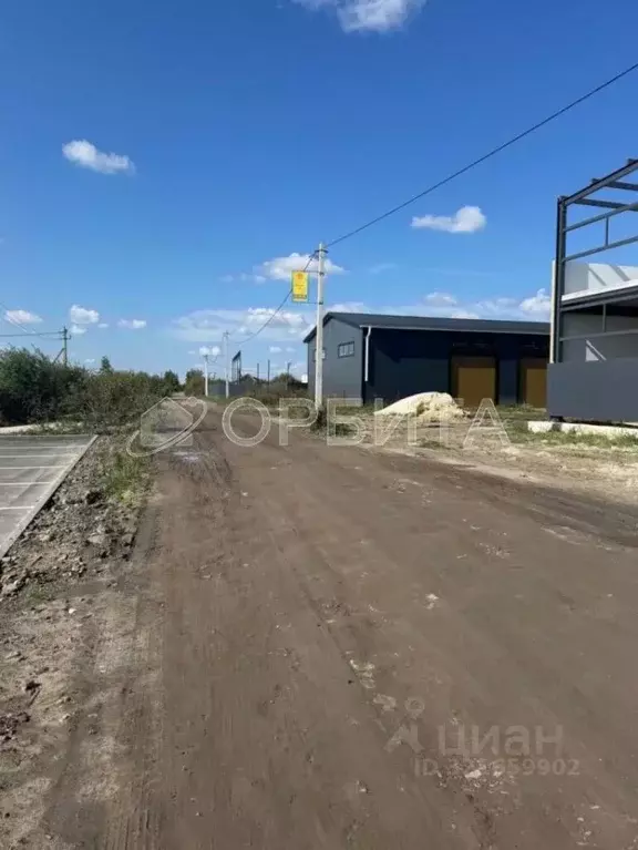 Участок в Тюменская область, Тюмень Рябинка-2 садовое товарищество, ... - Фото 2