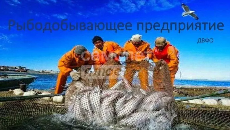 Производственное помещение в Сахалинская область, Ногликский городской ... - Фото 0