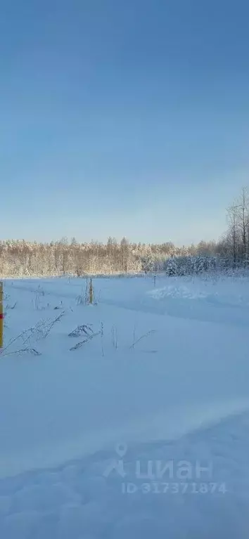 Участок в Ленинградская область, Приозерский район, Сосновское с/пос, ... - Фото 1