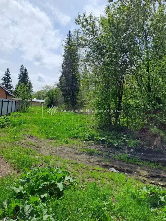 Участок в Томская область, Томский район, д. Кандинка ул. Сибирская, ... - Фото 2